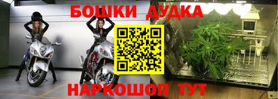 apvp Будённовск